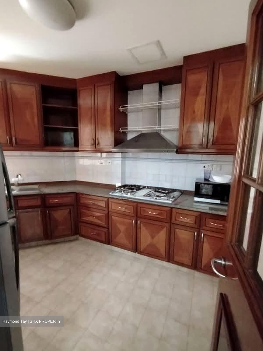 Dover Parkview (D5), Condominium #574748801